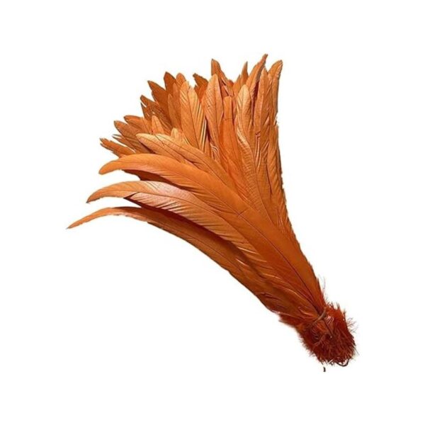 LONDGEN 50 plumas de cola de gallo natural de 12 a 14_3
