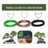 DARALIS Bonsai Wire and Bonsai Kit de herramientas 5