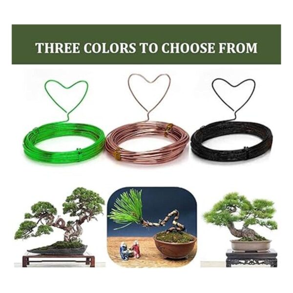 DARALIS Bonsai Wire and Bonsai Kit de herramientas 5