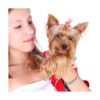 MTLEE 40 pinzas para el pelo de perro para mascotas