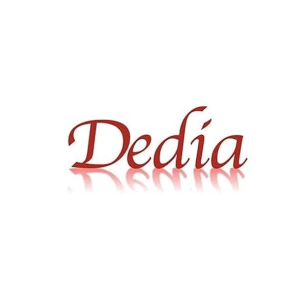 Dedia nuevo conector Dock compatible con iPad Pro 11 2018_3