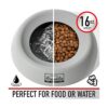 Franklin Sports Spill Proof Pet Bowl No Splash Travel_2