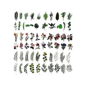 MAXLEAF 120 calcomanías vintage de plantas y flores para