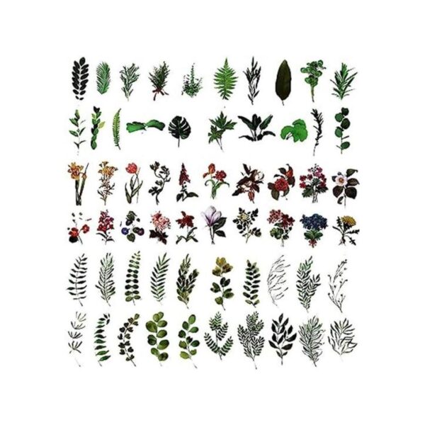 MAXLEAF 120 calcomanías vintage de plantas y flores para