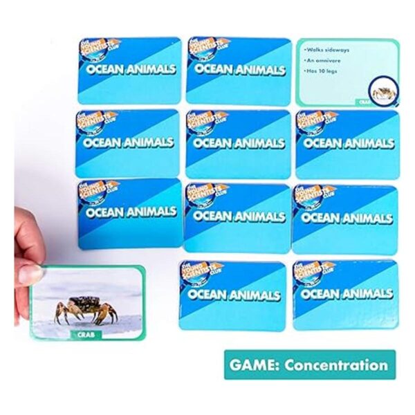 The Young Scientist Ocean Juego de cartas de animales 4_4