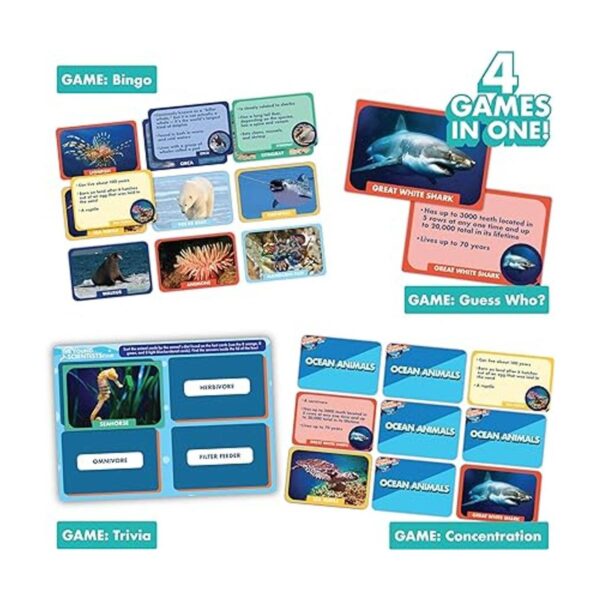The Young Scientist Ocean Juego de cartas de animales 4_3