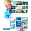 The Young Scientist Ocean Juego de cartas de animales 4_5
