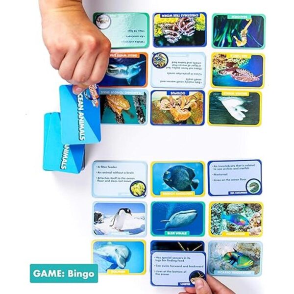 The Young Scientist Ocean Juego de cartas de animales 4_5