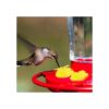 38 cepillos de limpieza para comedero de colibríes de 3