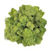 Musgo artificial preservado de 3.5 onzas para plantas en_1