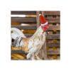 GABraden Paquete de 2 sombreros de pollo de Navidad y