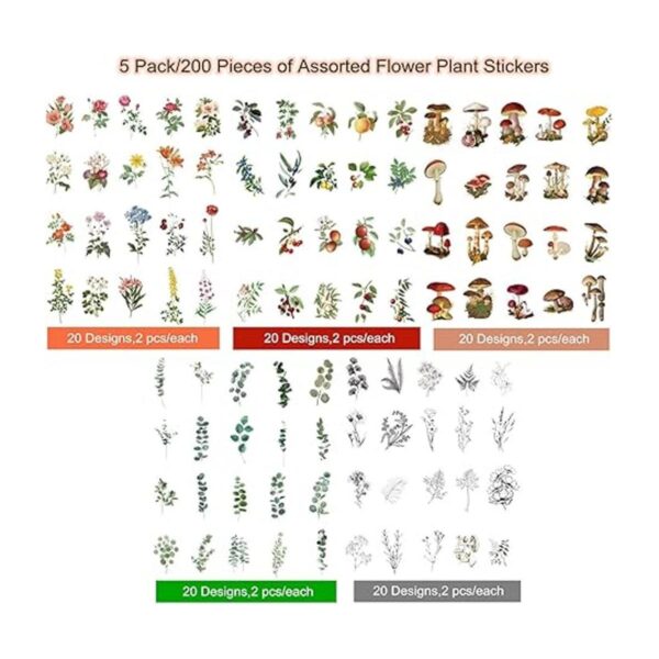 Juego de 200 calcomanías de plantas de eucalipto de