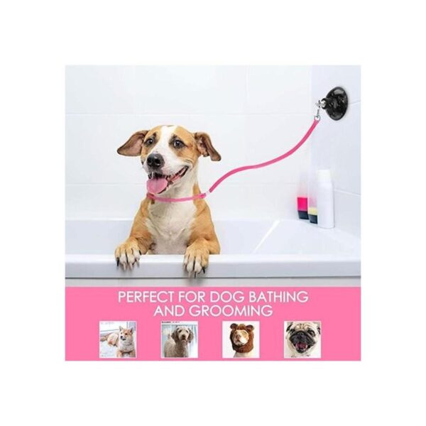 Frienda Juego de 4 piezas de lavado para perros y gatos