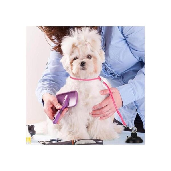 Frienda Juego de 4 piezas de lavado para perros y gatos