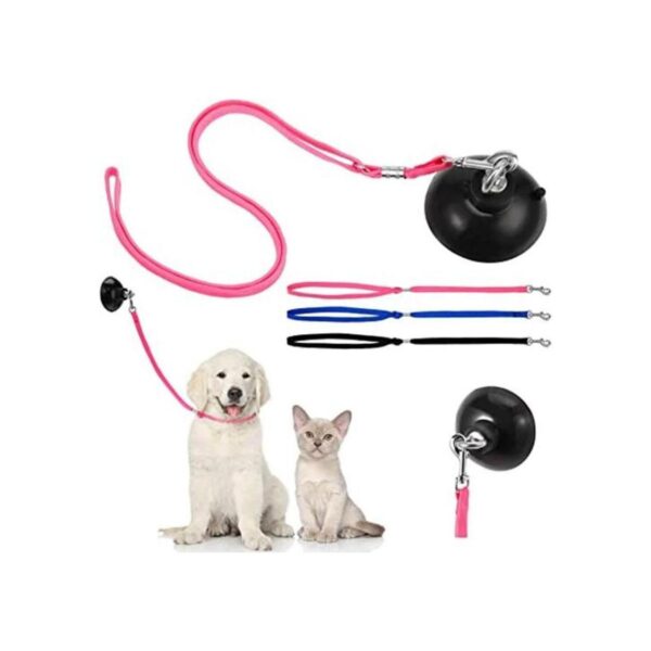 Frienda Juego de 4 piezas de lavado para perros y gatos