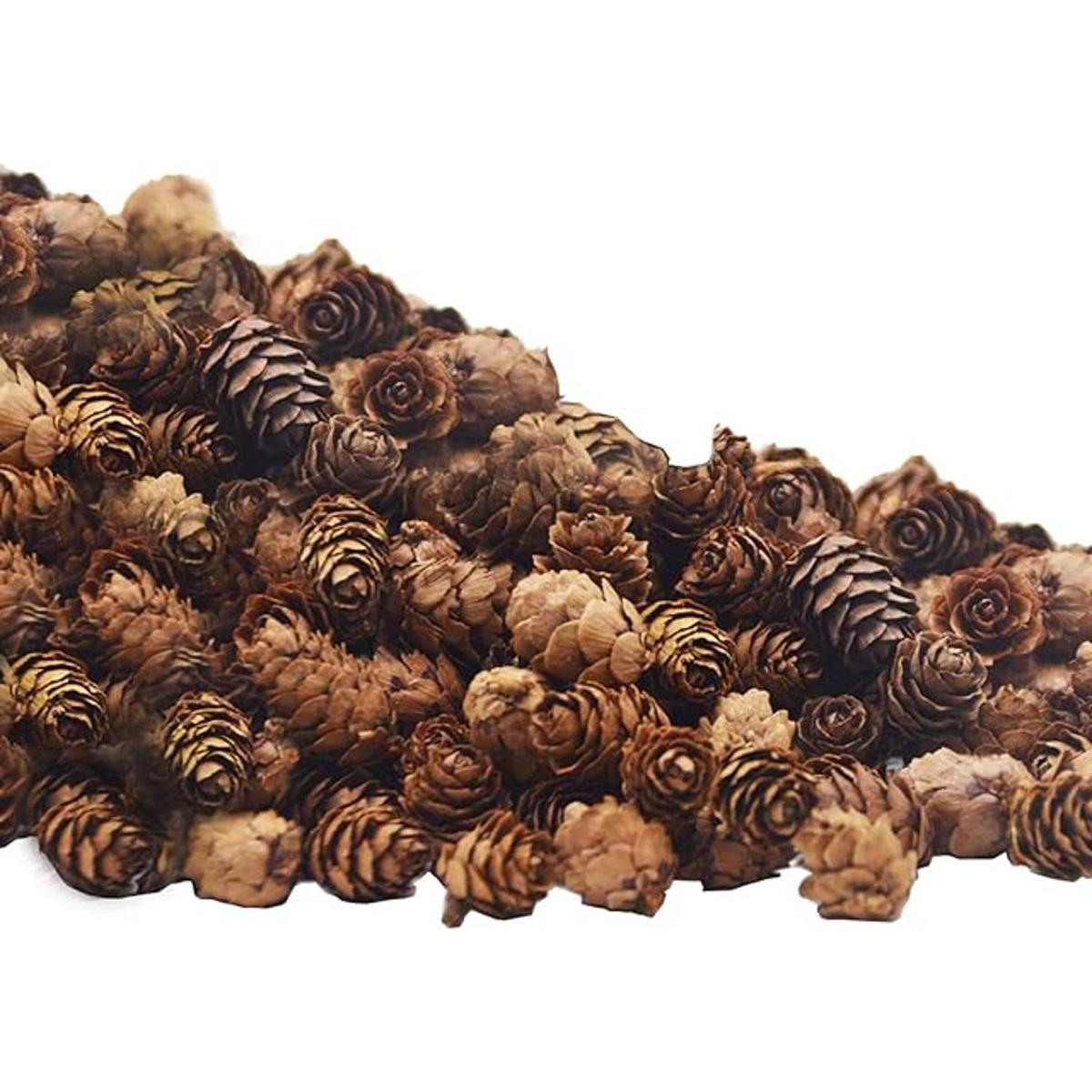 Deloky 150 mini conos de pino naturales de Navidad 0.8 in
