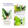 36pcs 3D Colorful Butterfly Wall Stickers DIY Art Decor_5