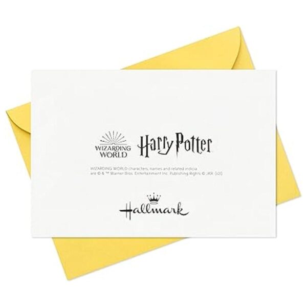 Hallmark Kids Harry Potter Tarjetas para todas las_6