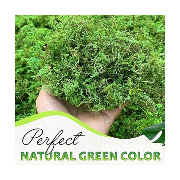 DUSPRO Musgo verde para manualidades musgo artificial_2