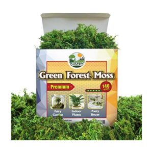 DUSPRO Musgo verde para manualidades musgo artificial_1
