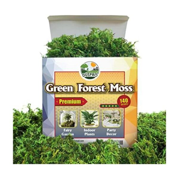 DUSPRO Musgo verde para manualidades musgo artificial_1