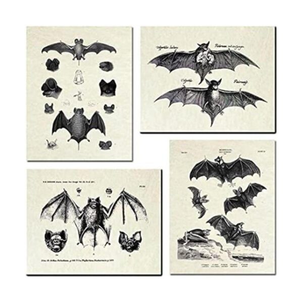 4 piezas de decoración de pared de murciélagos arte de_1