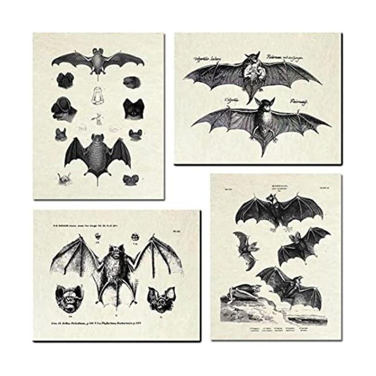 4 piezas de decoración de pared de murciélagos arte de