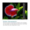 PULACO Calentador Betta de acuario pequeño de 25 W con_4