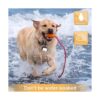 Luces de perro para caminar por la noche con clip