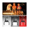 Luces de perro para caminar por la noche con clip