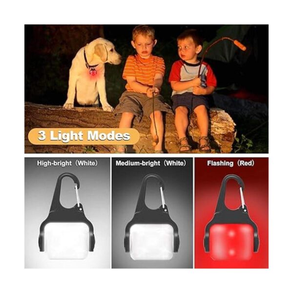 Luces de perro para caminar por la noche con clip