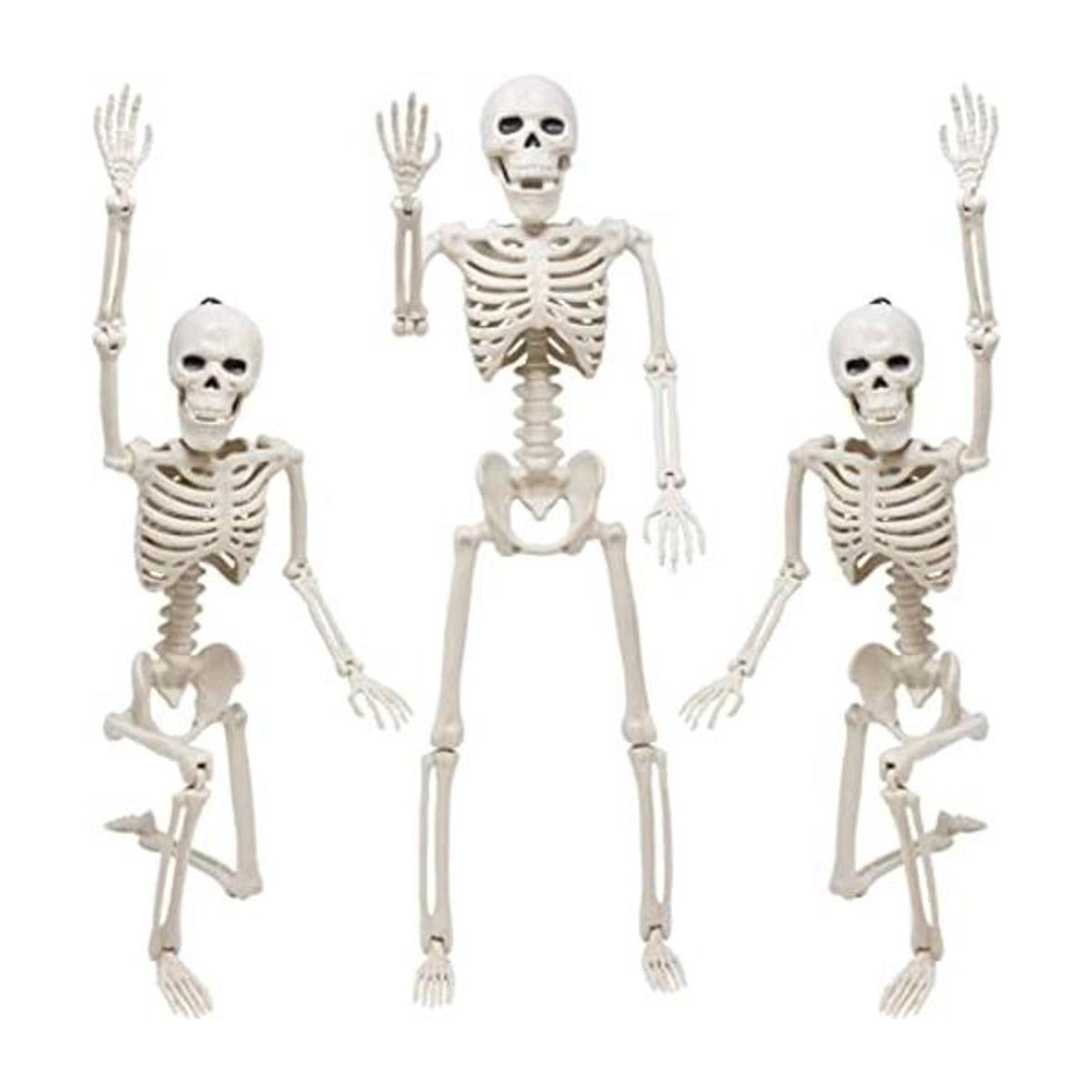 Esqueleto de Halloween Decoración 3 paquetes de