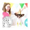 Globos de látex con diseño de pata de perro 100 unidades