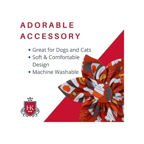 Huxley Kent Pet Pinwheel Pupkin Spice Latte Pet_2