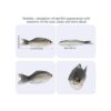Gejoy 4 piezas de peces falsos de Halloween simulados de