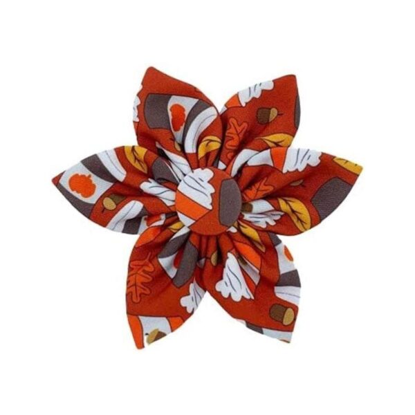 Huxley Kent Pet Pinwheel Pupkin Spice Latte Pet_1