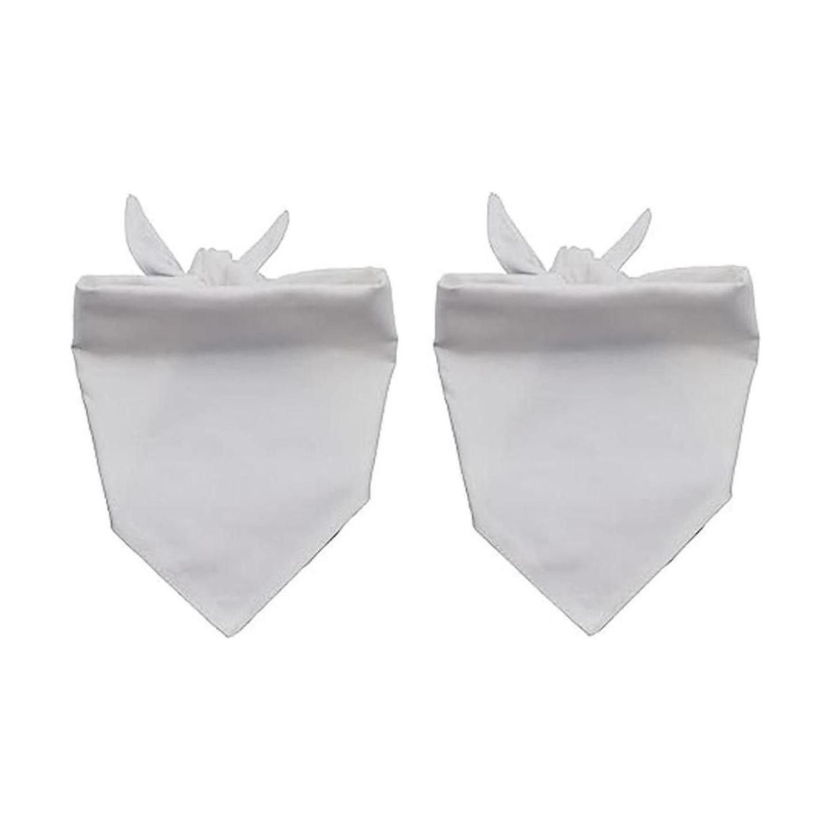 EechicSpace Paquete de 2 bandanas para perros pequeños