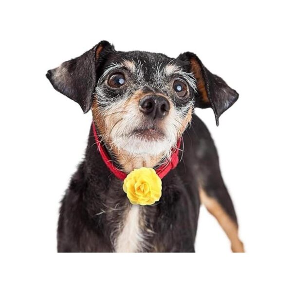 Leinuosen 20 Pieces Dog Collar Flowers Pet Bow Tie Flower