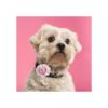 Leinuosen 20 Pieces Dog Collar Flowers Pet Bow Tie Flower
