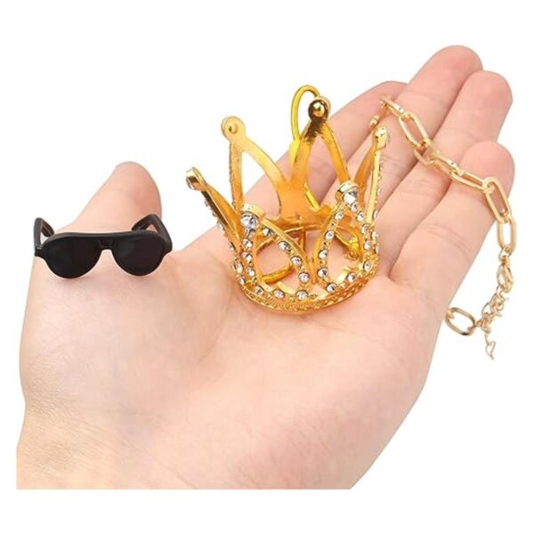 Keymall Juego de accesorios de dragón barbudo incluye