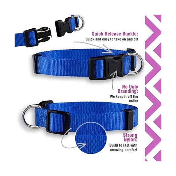 Native Pup Collar básico de nailon para perro ajustable_4