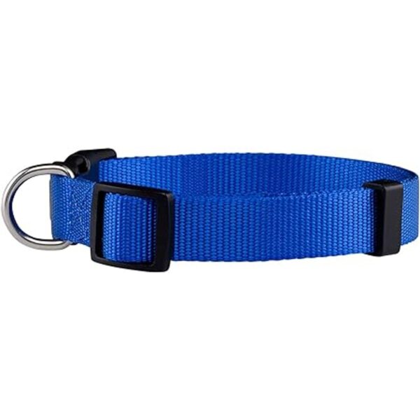 Native Pup Collar básico de nailon para perro ajustable_2