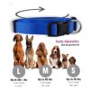 Native Pup Collar básico de nailon para perro ajustable_3