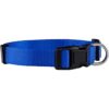 Native Pup Collar básico de nailon para perro ajustable_1