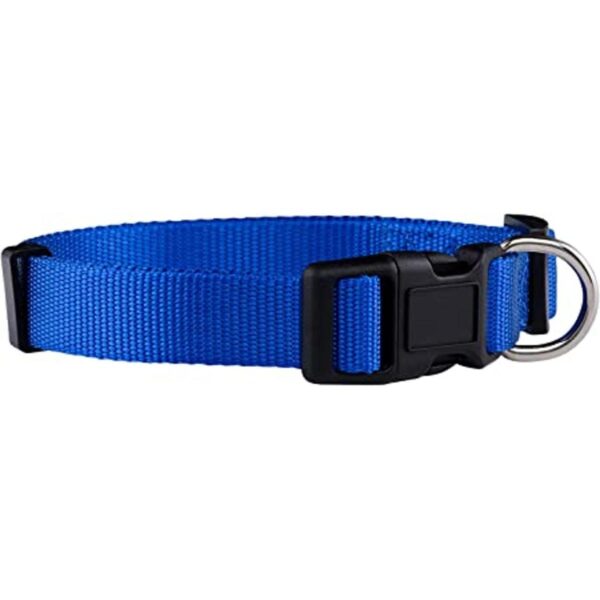 Native Pup Collar básico de nailon para perro ajustable_1