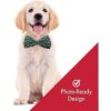 Huxley Kent Pajarita para mascotas Fútbol pequeño