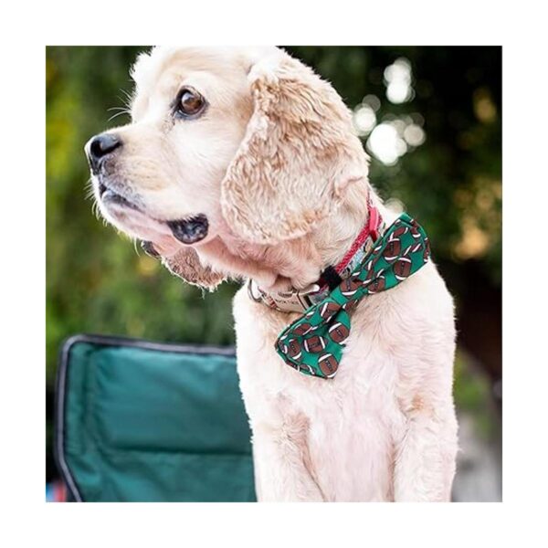 Huxley Kent Pajarita para mascotas Fútbol pequeño