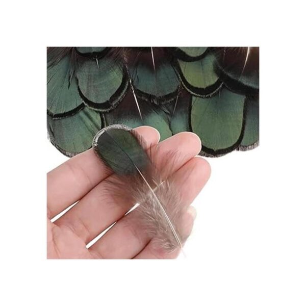 MWOOT 9 estilos surtidos de plumas de artesanía 180