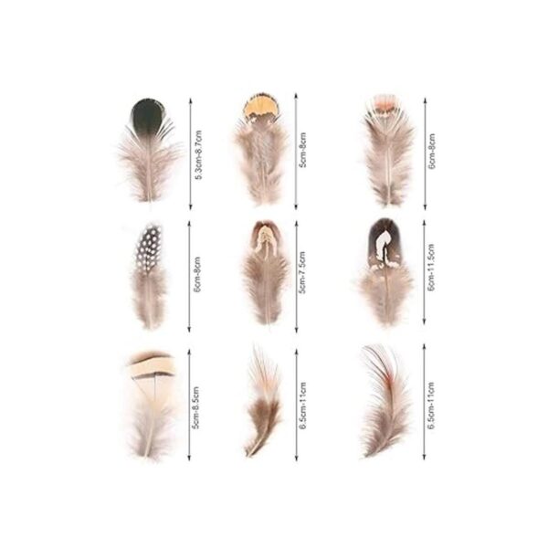 MWOOT 9 estilos surtidos de plumas de artesanía 180