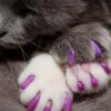 Kitty Caps Tapas de uñas para gatos Verde primavera con